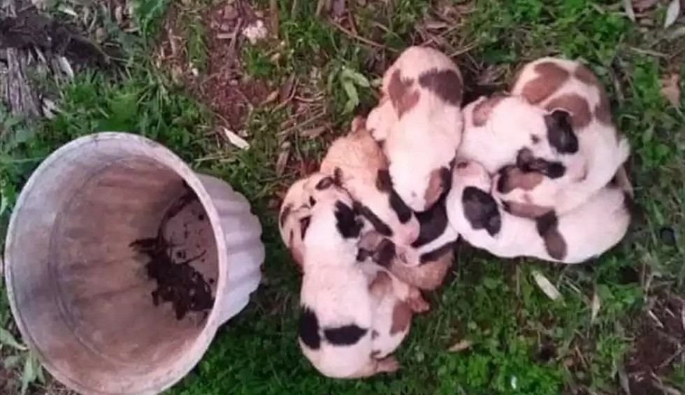 A generic square placeholder image with rounded corners in a figure.