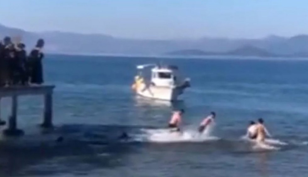 A generic square placeholder image with rounded corners in a figure.