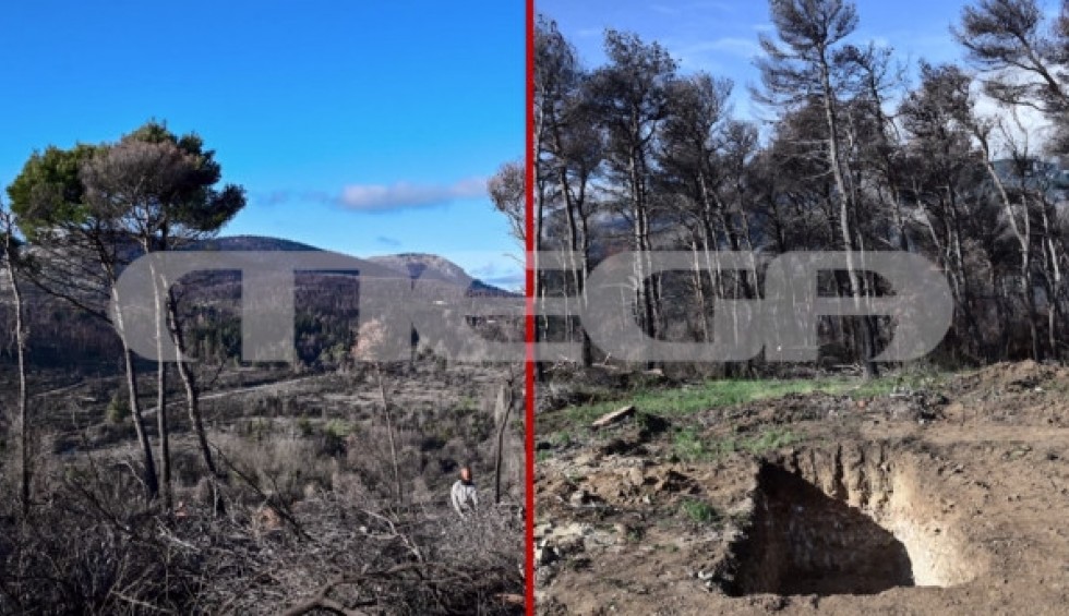 A generic square placeholder image with rounded corners in a figure.