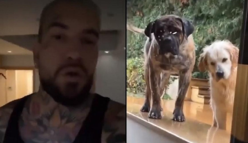 A generic square placeholder image with rounded corners in a figure.