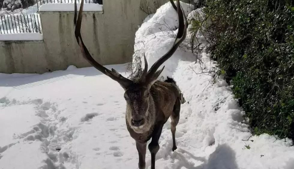 A generic square placeholder image with rounded corners in a figure.