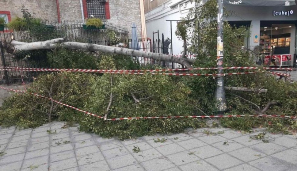 A generic square placeholder image with rounded corners in a figure.