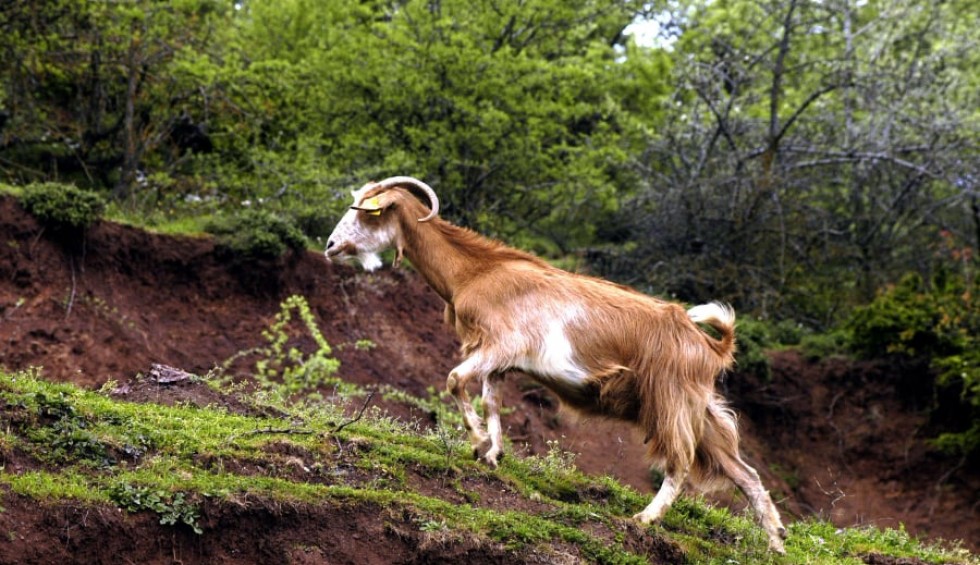 A generic square placeholder image with rounded corners in a figure.