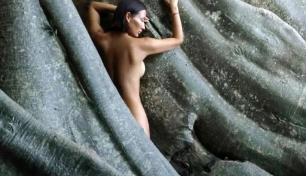 A generic square placeholder image with rounded corners in a figure.