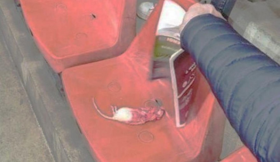 A generic square placeholder image with rounded corners in a figure.