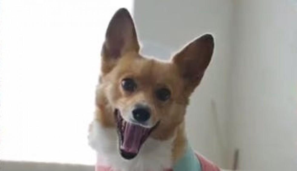 A generic square placeholder image with rounded corners in a figure.