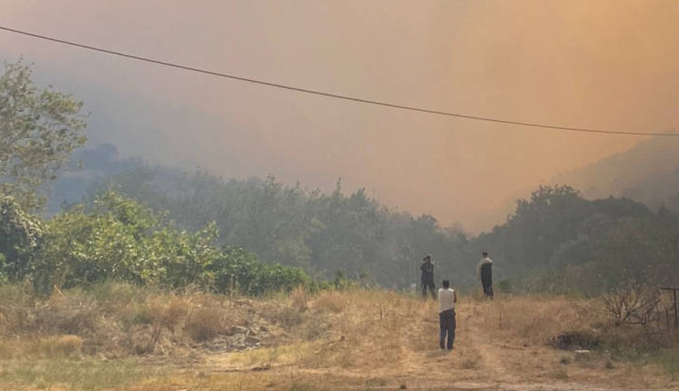 A generic square placeholder image with rounded corners in a figure.