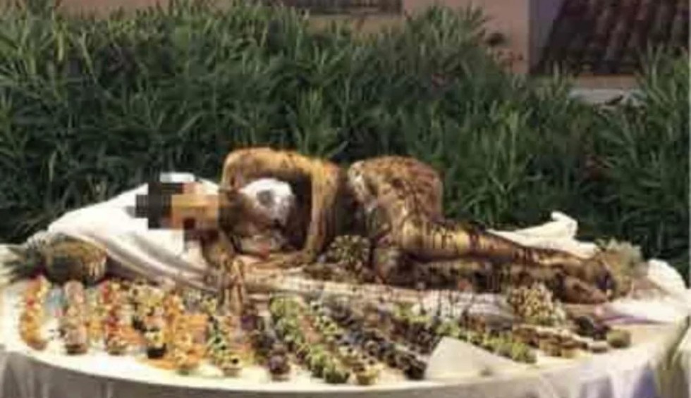 A generic square placeholder image with rounded corners in a figure.