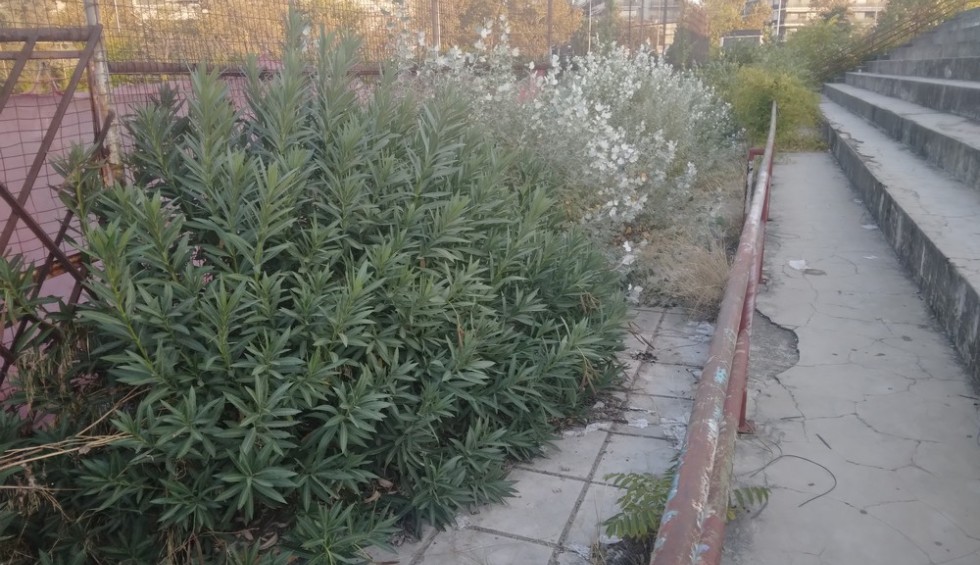 A generic square placeholder image with rounded corners in a figure.