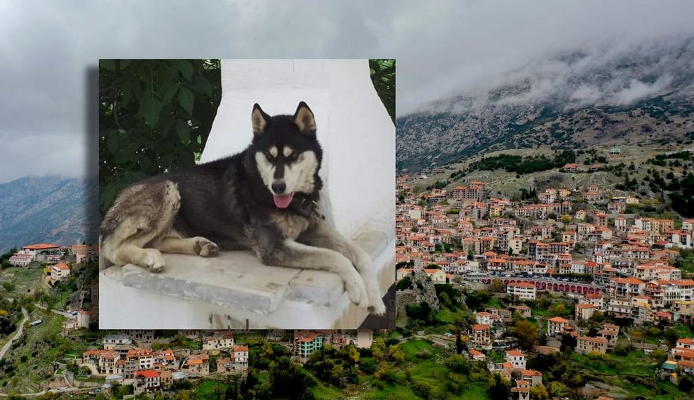 A generic square placeholder image with rounded corners in a figure.