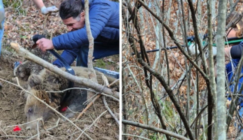 A generic square placeholder image with rounded corners in a figure.