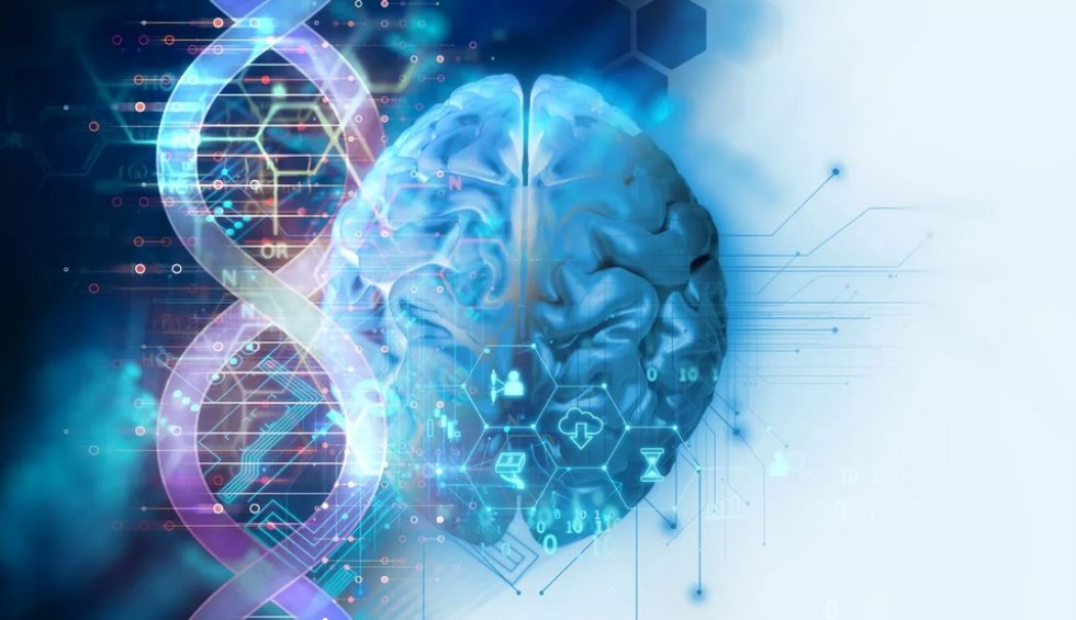 A generic square placeholder image with rounded corners in a figure.