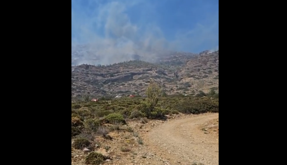 A generic square placeholder image with rounded corners in a figure.