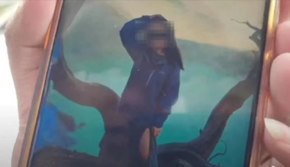 A generic square placeholder image with rounded corners in a figure.