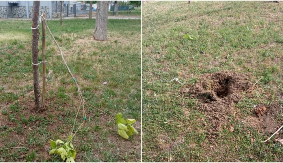 A generic square placeholder image with rounded corners in a figure.