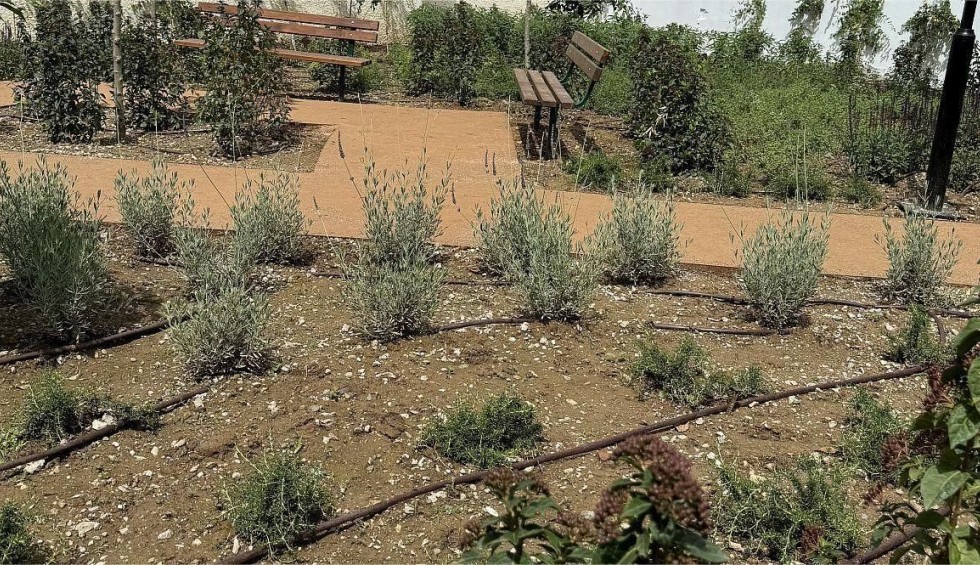 A generic square placeholder image with rounded corners in a figure.