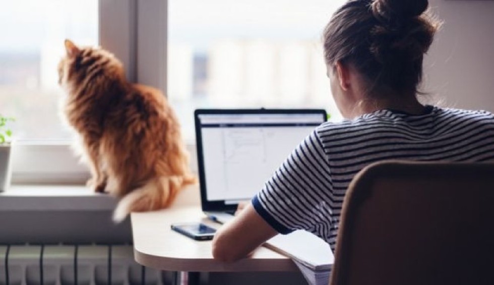 A generic square placeholder image with rounded corners in a figure.