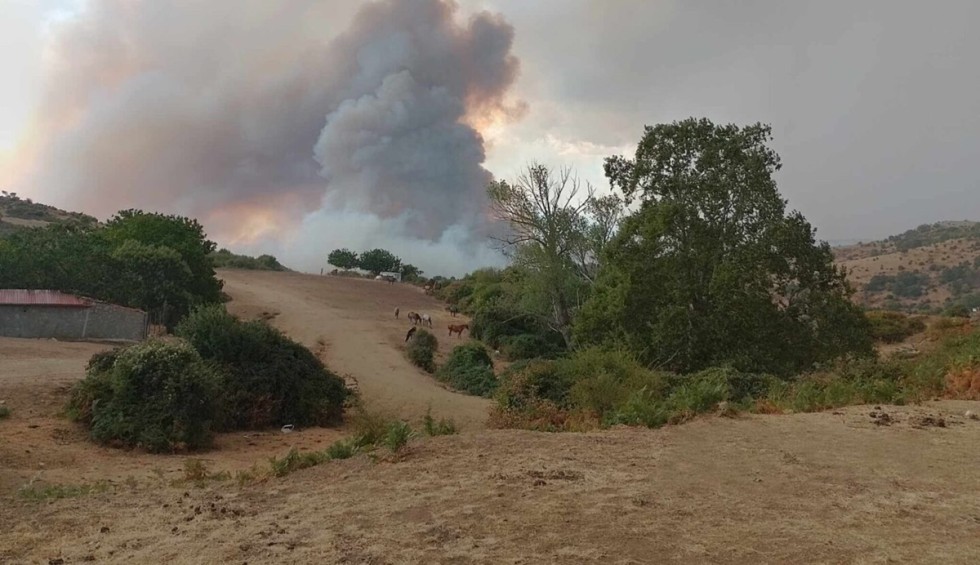 A generic square placeholder image with rounded corners in a figure.