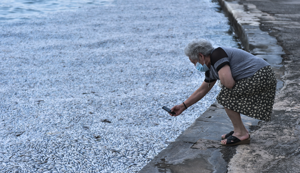 A generic square placeholder image with rounded corners in a figure.