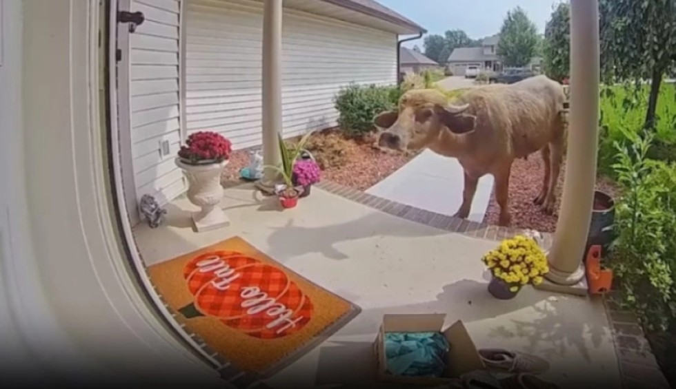 A generic square placeholder image with rounded corners in a figure.