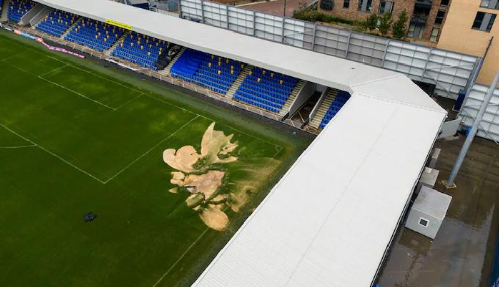 A generic square placeholder image with rounded corners in a figure.