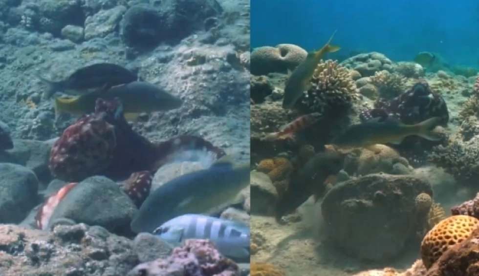 A generic square placeholder image with rounded corners in a figure.