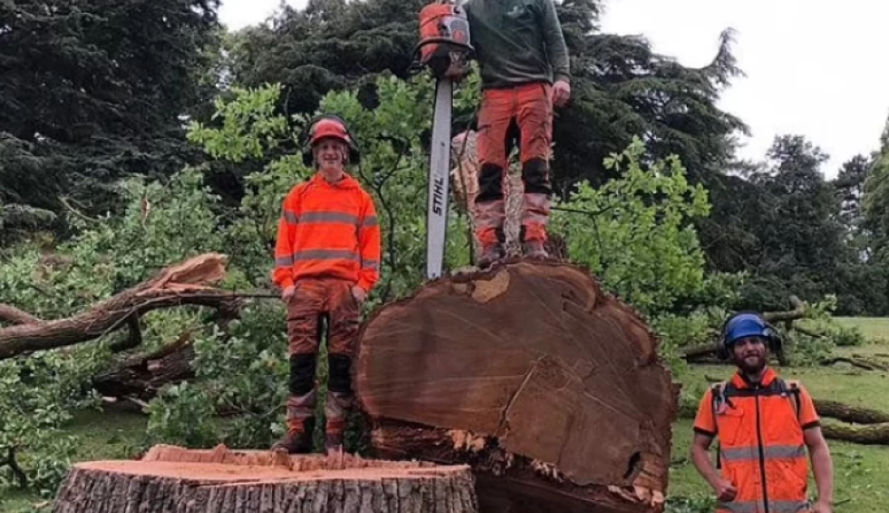 A generic square placeholder image with rounded corners in a figure.