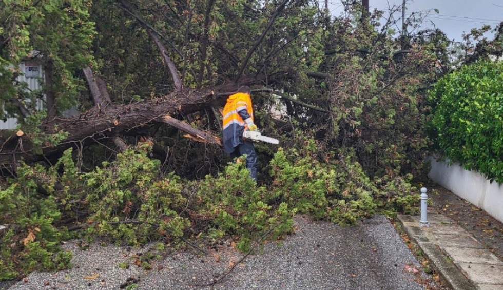 A generic square placeholder image with rounded corners in a figure.