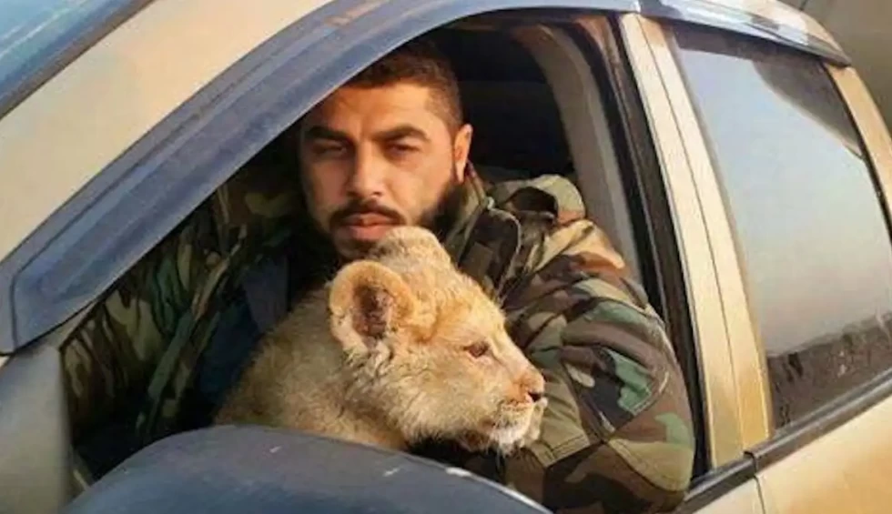 A generic square placeholder image with rounded corners in a figure.