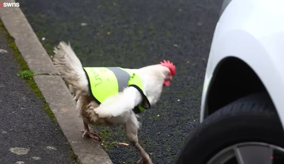 A generic square placeholder image with rounded corners in a figure.