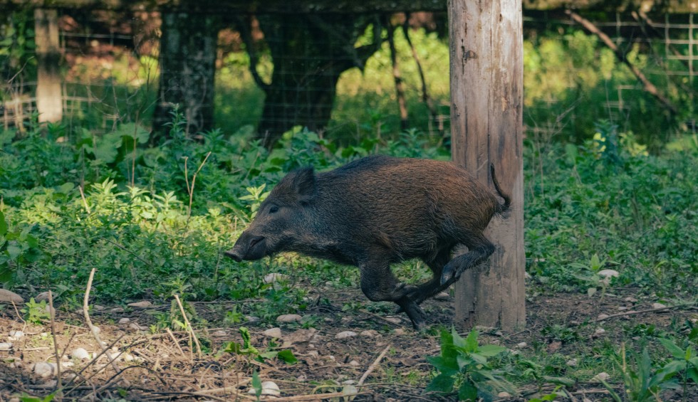 A generic square placeholder image with rounded corners in a figure.