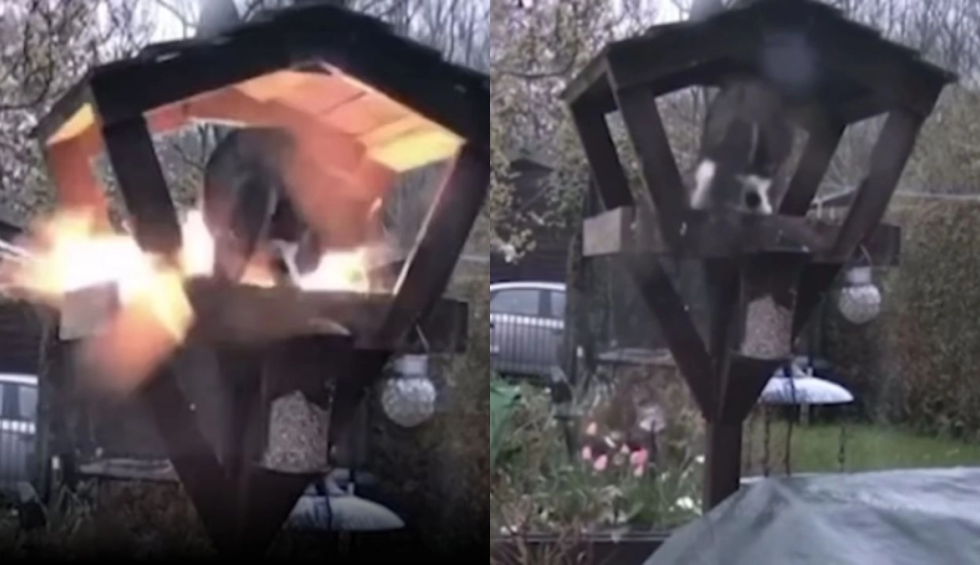 A generic square placeholder image with rounded corners in a figure.