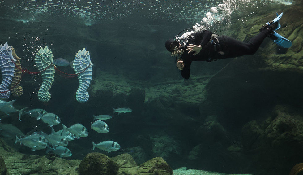 A generic square placeholder image with rounded corners in a figure.