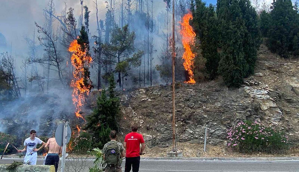 A generic square placeholder image with rounded corners in a figure.