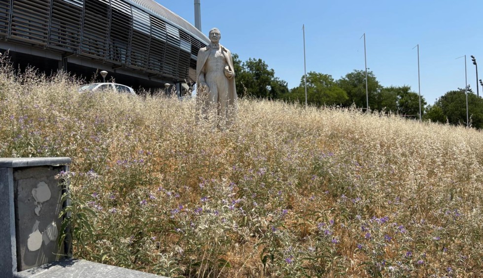 Τα χόρτα θα… σκεπάσουν -και- τον Καυτανζόγλου