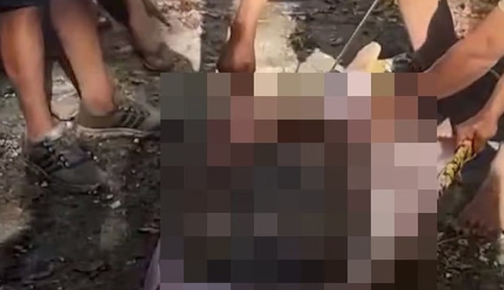 A generic square placeholder image with rounded corners in a figure.