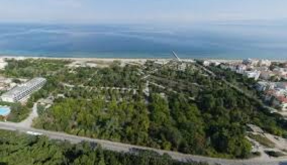 A generic square placeholder image with rounded corners in a figure.