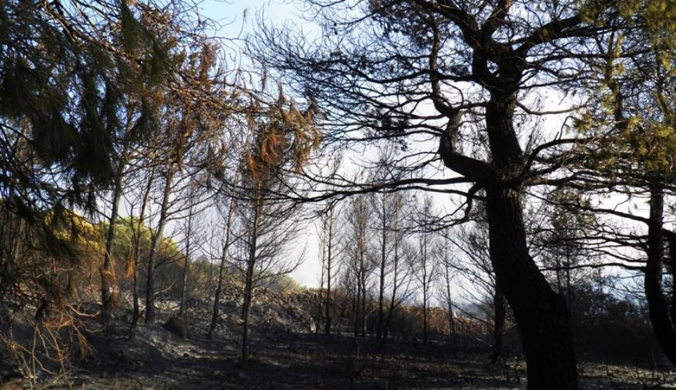 A generic square placeholder image with rounded corners in a figure.