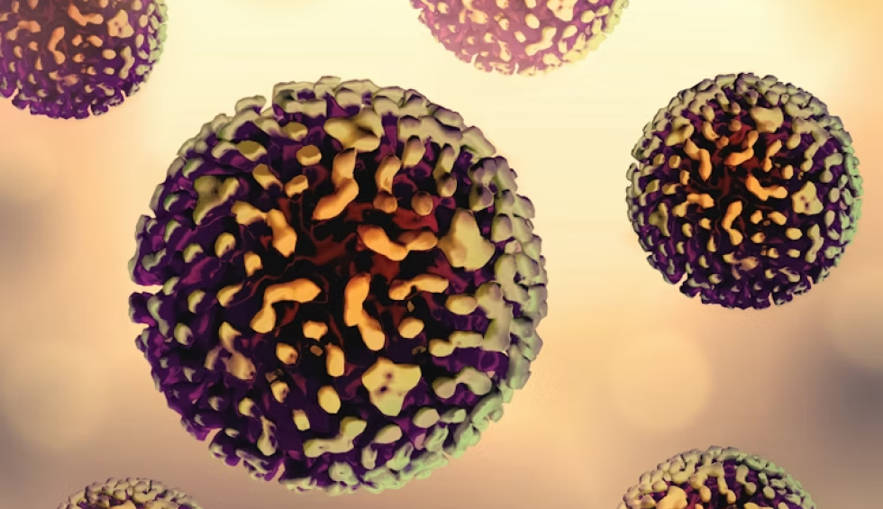 A generic square placeholder image with rounded corners in a figure.