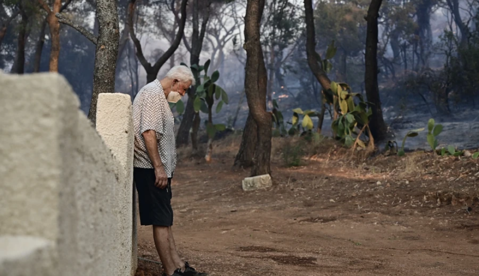 A generic square placeholder image with rounded corners in a figure.