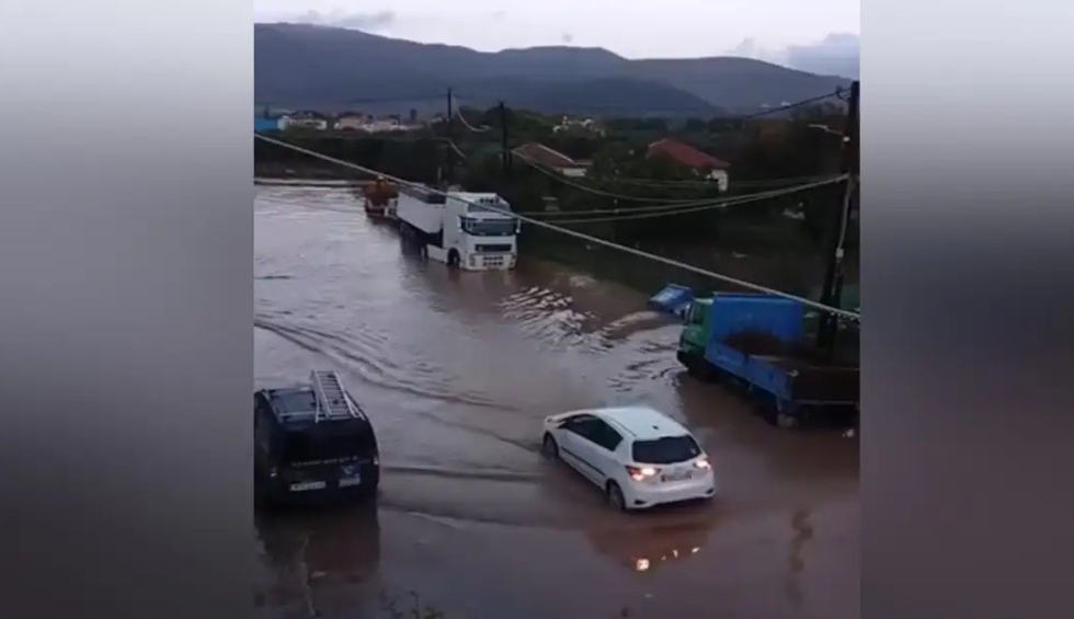 A generic square placeholder image with rounded corners in a figure.