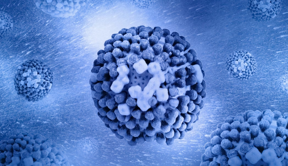 A generic square placeholder image with rounded corners in a figure.