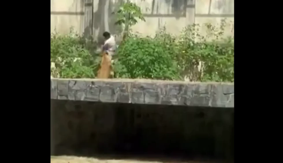 Λιοντάρι κατασπάραξε 19χρονο που μπήκε στο κλουβί του!