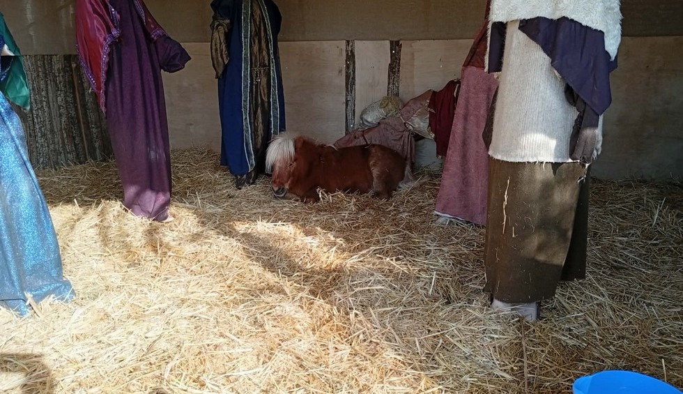 A generic square placeholder image with rounded corners in a figure.