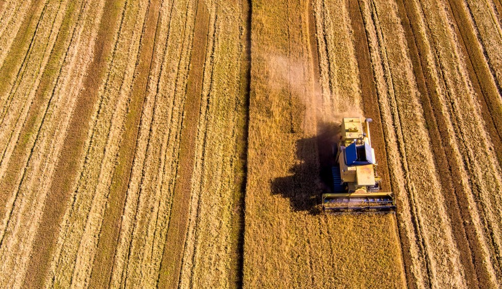Ελλάδα: Η τρίτη μεγαλύτερη παραγωγός ρυζιού στην ΕΕ-Ποια συνάντηση θα γίνει σήμερα (13/12)