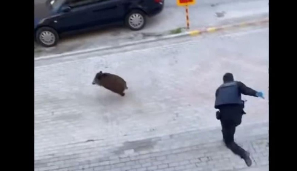 A generic square placeholder image with rounded corners in a figure.