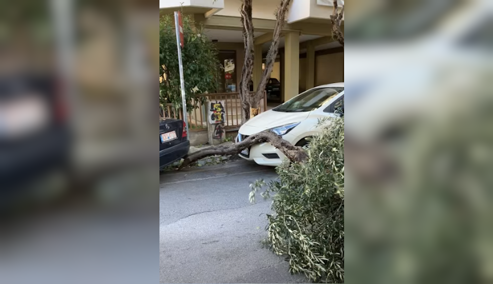 Θεσσαλονίκη: Τα «πήρε» και τα «σήκωσε» ο Βαρδάρης