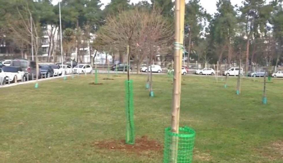 A generic square placeholder image with rounded corners in a figure.