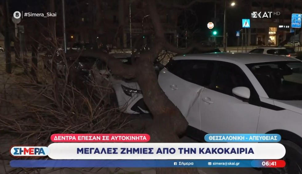 Ισχυροί άνεμοι και πτώσεις δένδρων στη Θεσσαλονίκη