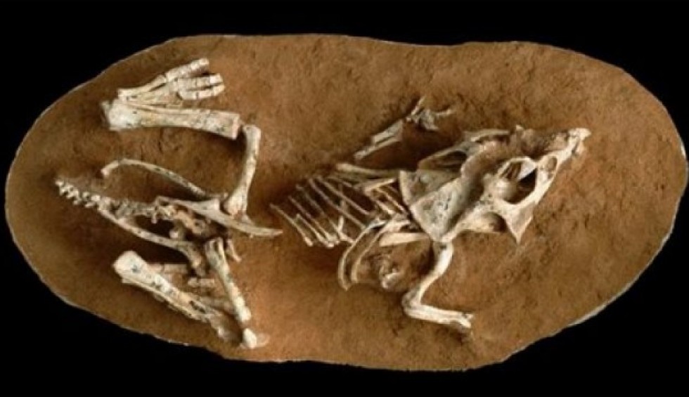 A generic square placeholder image with rounded corners in a figure.